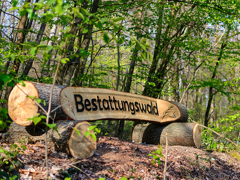Baumbestattung in Euskirchen