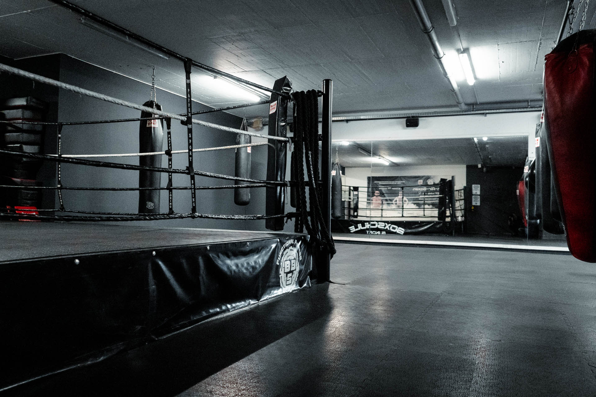 Muskulöser Mann trainiert mit Kurzhantel auf Trainingsbank beim intensiven Krafttraining in Euskirchen im modernen Fitnessstudio